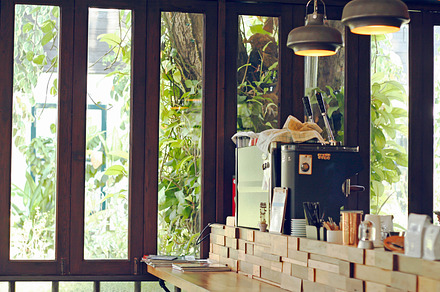 coffee shop counter 