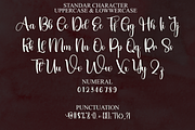 Brilliant Maylena, a Font by FreshTypeINK (Thumbnail 5 of 8)