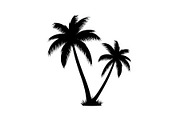 Summer Beach Palm Bundle, an Illustration by jahid234 (Thumbnail 8 of 21)