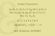 VT Antobe - Modern Serif, a Serif Font by ViactionType (Thumbnail 10 of 12)