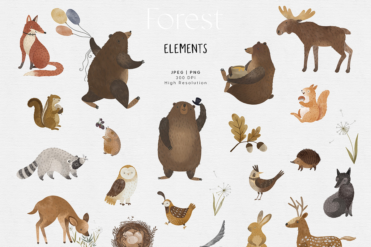 Forest animals. Alphabet & Patterns, an Animal Illustration by annartdreams (Photo 10 of 11)