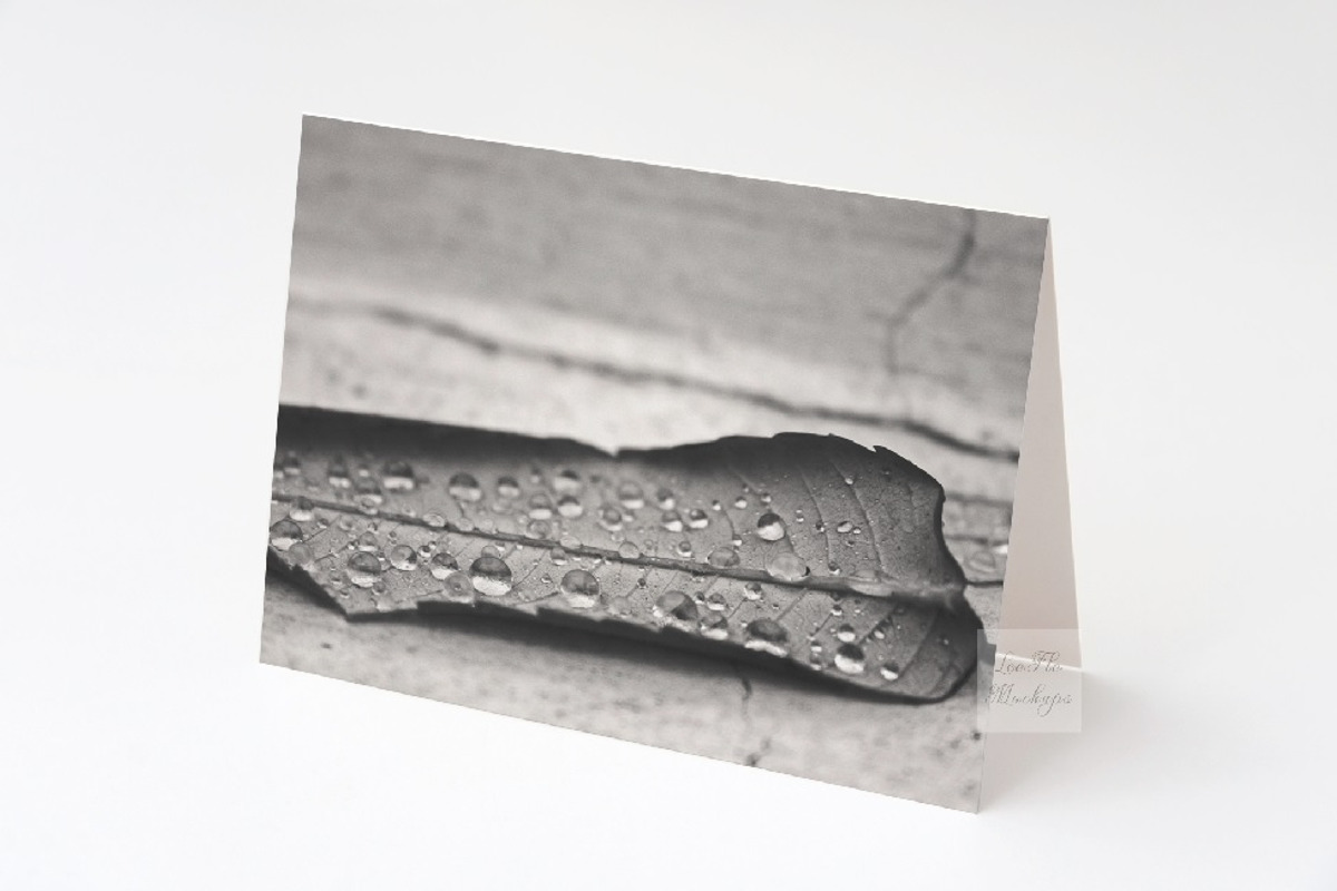 A2 Greeting card mockup invitation, a Cups & Container Mockup by Leo Flo Mockups (Photo 2 of 4)