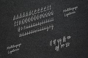 Steve Buck – Handwritten Script Font, a Script Font by overlaytemplates (Thumbnail 5 of 5)