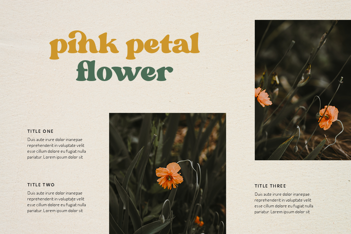 Free Download - Fontfreebie