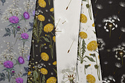Dandelion wildflowers patterns set, a Seasonal Illustration by FleurArt (Thumbnail 2 of 11)
