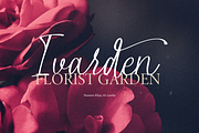 Alphiness | Handwritten Script Font, a Script Font by Denustudios (Thumbnail 4 of 15)
