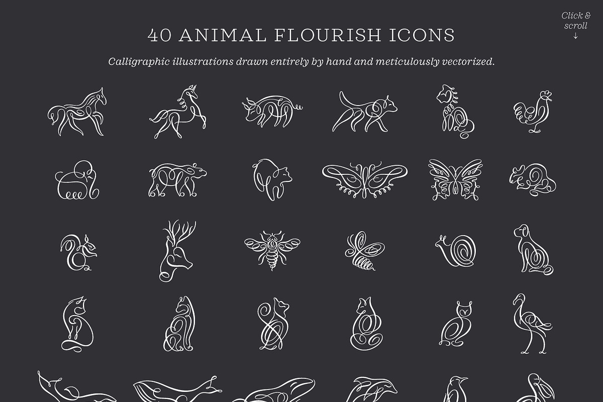 Animal Flourish Icons & Brushes, an Icon by Molly Suber Thorpe (Photo 5 of 11)