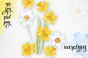 Spring flowers. Watercolor set., an Illustration by maritime_m (Thumbnail 5 of 7)
