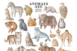 Animals Alphabet