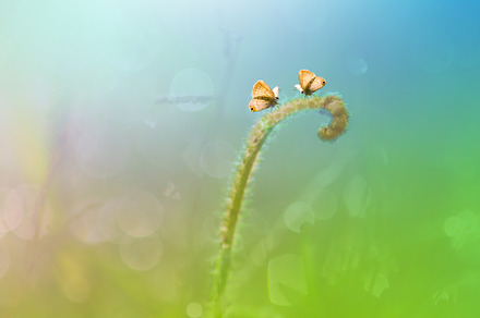 Natural pastel background