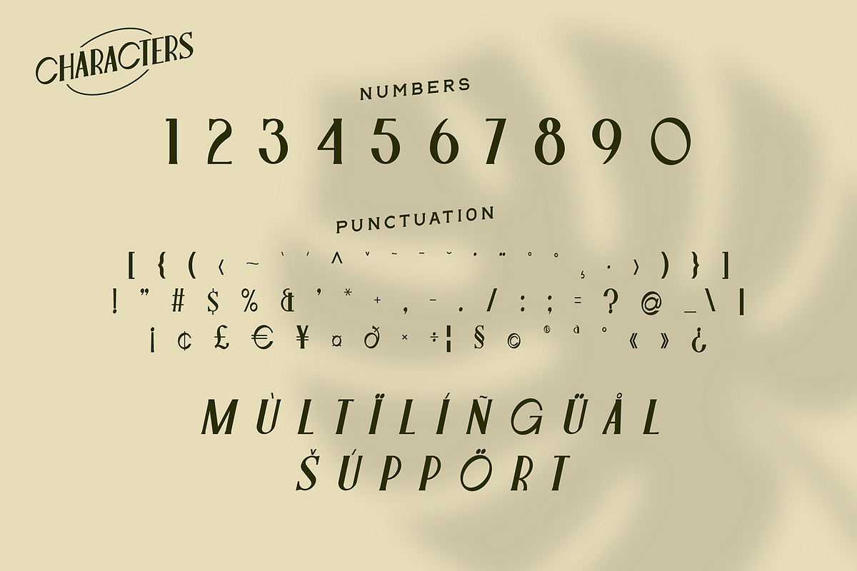 Leonis - Luxury Font, a Serif Font by Snape Design Studio (Photo 4 of 12)