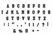The Black Falcon Font, a Slab Serif Font by Fourteen Letter (Thumbnail 2 of 7)