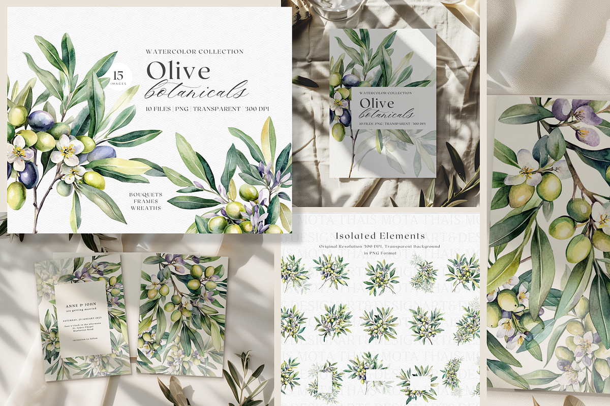 BUNDLE Watercolor Fruit and Flora, a Decorative Illustration by ThaismotaCreativeCo (Photo 3 of 14)