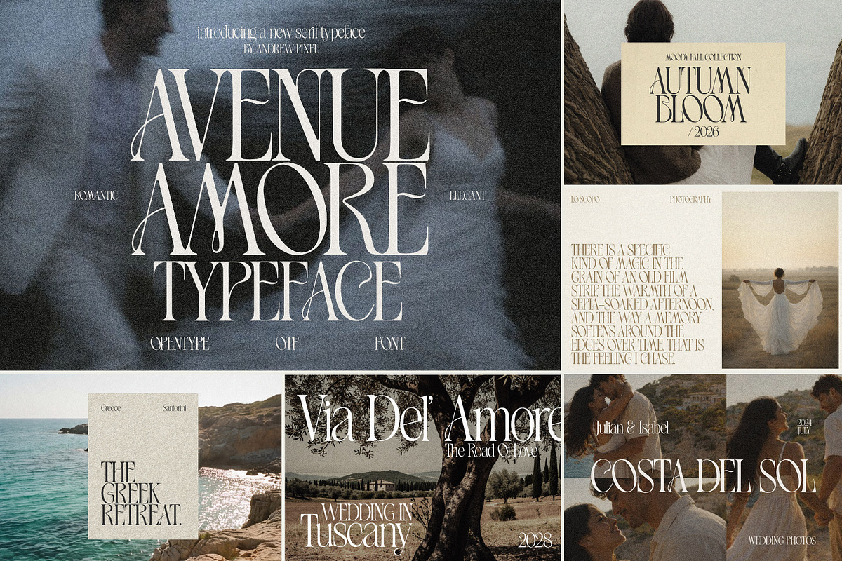Old Money Font Bundle, a Serif Font by AndrewPixelType (Photo 4 of 9)