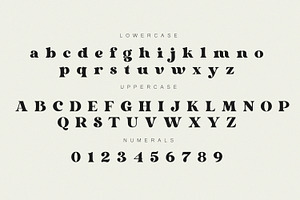 Dorige Modern Retro Serif Font