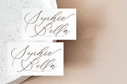Starfield Brightens, a Script Font by operatype.co (Thumbnail 10 of 15)
