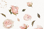 Watercolor Rose Floral Elements, a Decorative Illustration by Damian Roh (Thumbnail 8 of 13)