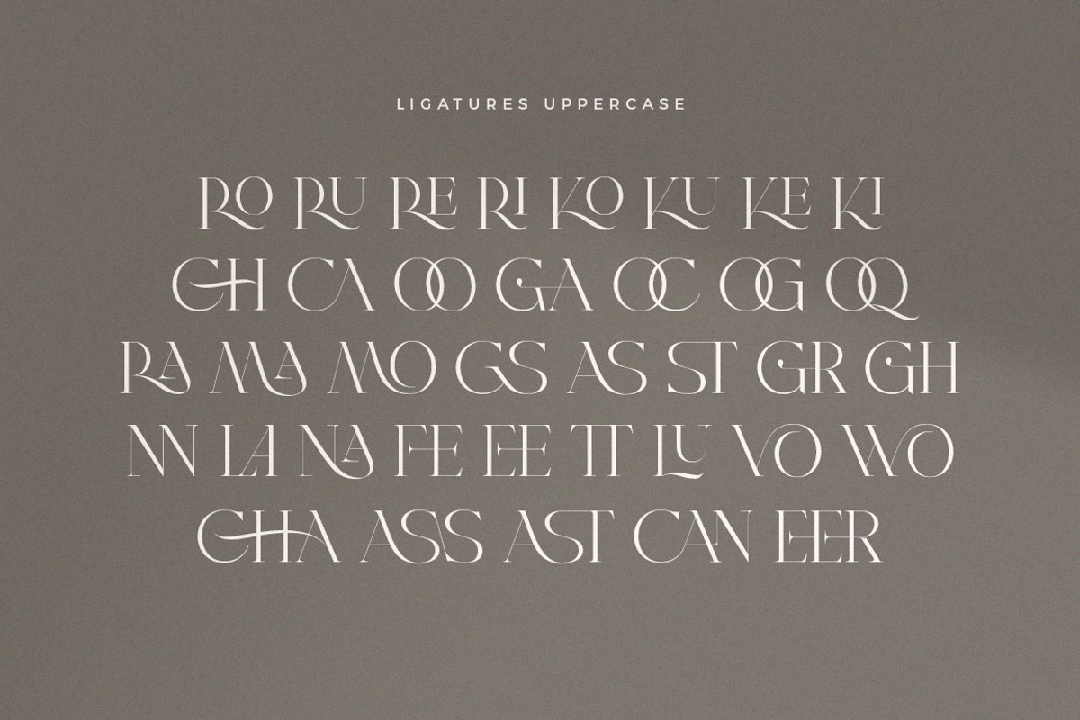 Rhiffiral, a Serif Font by Dora Typefoundry (Photo 8 of 30)