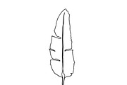 Palm Leaves svg, Botanical png, a Decorative Illustration by Watercolor_Vector Graphic (Thumbnail 14 of 25)