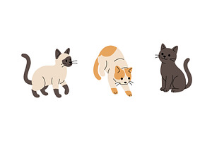 Set of cartoon cats in different, an Animal Illustration by GraphiShop