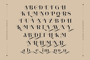 Maqria Vintage - Branding Logo Font, a Serif Font by Nirmana Visual (Thumbnail 6 of 11)