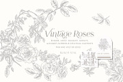 Vintage Roses - Line art Florals, a Decorative Illustration by BlumenSoul (Thumbnail 1 of 8)