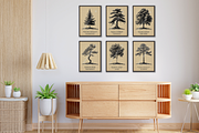 50 US State Tree Vintage Poster Set, a Decorative Illustration by Genius Graph (Thumbnail 4 of 6)