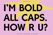 Rockhill Sans: A Diverse Sans Serif, a Sans Serif Font by Bnick (Thumbnail 3 of 23)