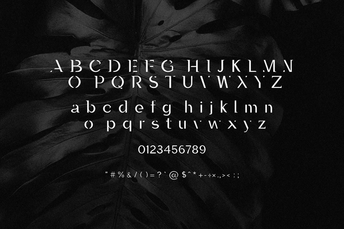 Laura - A Minimal Luxury Font, a Serif Font by AndrewPixelType (Photo 8 of 8)