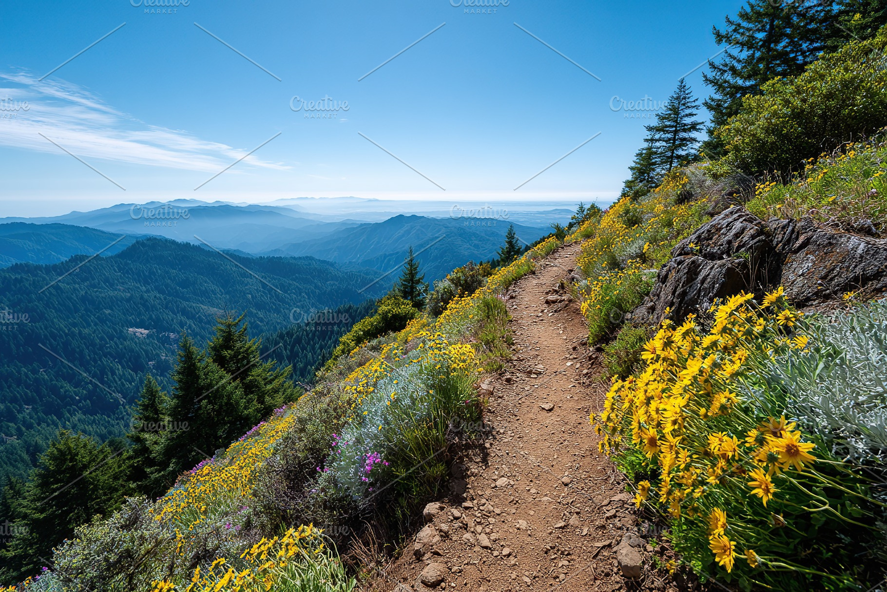 Hiking trail offering stunning mountain views and vibrant wildflowers in summer, a Nature Photo by AlyaAnd