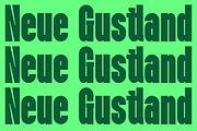 Neue Gustland Modern Condensed Font, a Sans Serif Font by QR Design Studio (Thumbnail 8 of 13)