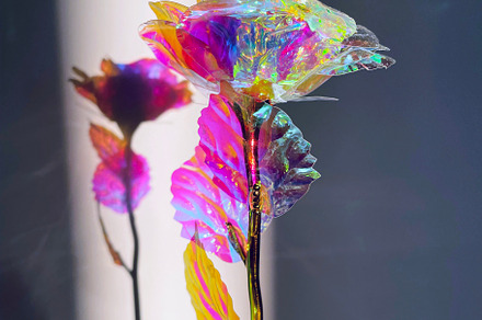 Beautiful unusual holographic rose