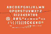 Mason Dixon - Southern Display Font, a Serif Font by Creative Type (Thumbnail 8 of 9)