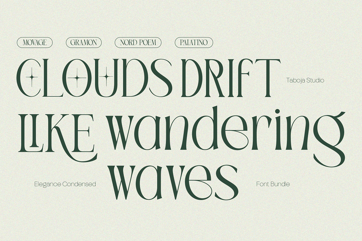 Elegant Condensed Volume 4, a Serif Font by Taboja Studio (Photo 17 of 22)