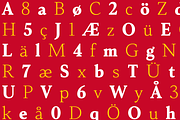Senlot Serif, a Serif Font by insigne (Thumbnail 4 of 6)