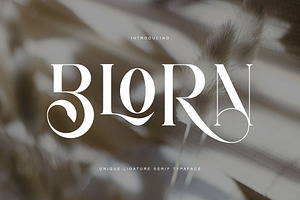 BLORN UNIQUE SERIF TYPEFACE