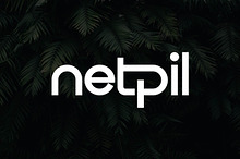 Netpil - Elegant Logo Font