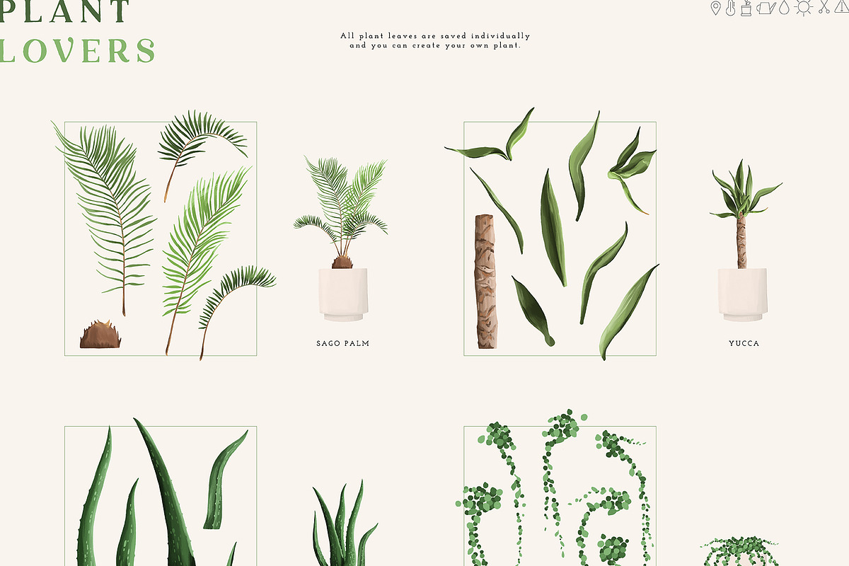 Plant Lovers Collection, a Texture Illustration by Julia Dreams (Photo 10 of 12)
