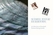 Seashell Texture Backgrounds, a Background Graphic by youtoview (Thumbnail 9 of 12)