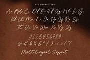 Metaphor Story Font, a Handwritten Font by Timurtype (Thumbnail 6 of 7)
