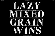BN Killwit, a Serif Font by Bnick (Thumbnail 8 of 13)