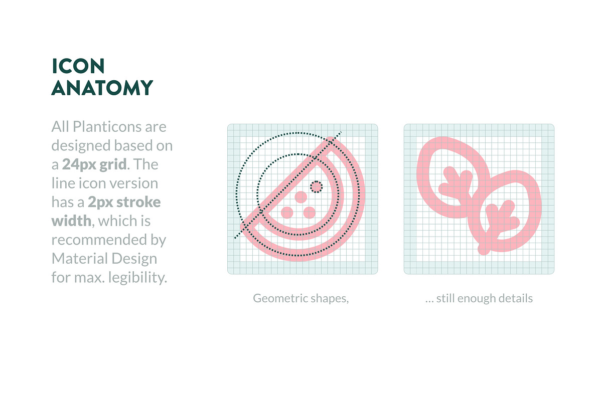 PLANTICONS - line icons & glyphs, an Outline Icon by matcha studios (Photo 3 of 6)