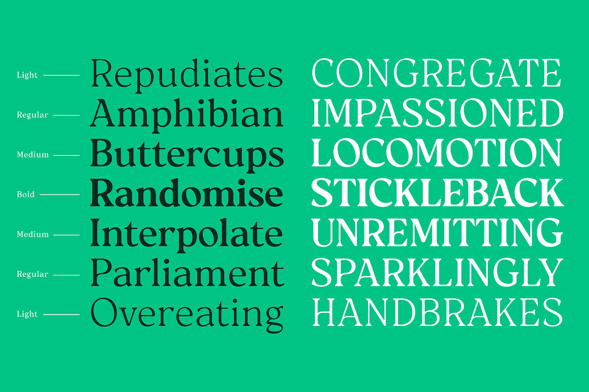 Reloka, a Serif Font by Locomotype (Photo 7 of 12)