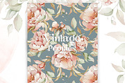 Watercolor peony roses pattern set, a Decorative Illustration by Edith’s World (Thumbnail 2 of 13)
