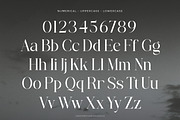 Brettaline - Family Serif Font, a Serif Font by Flawless And Co (Thumbnail 10 of 10)