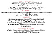 Michigan Signature, a Script Font by Cititype (Thumbnail 13 of 14)