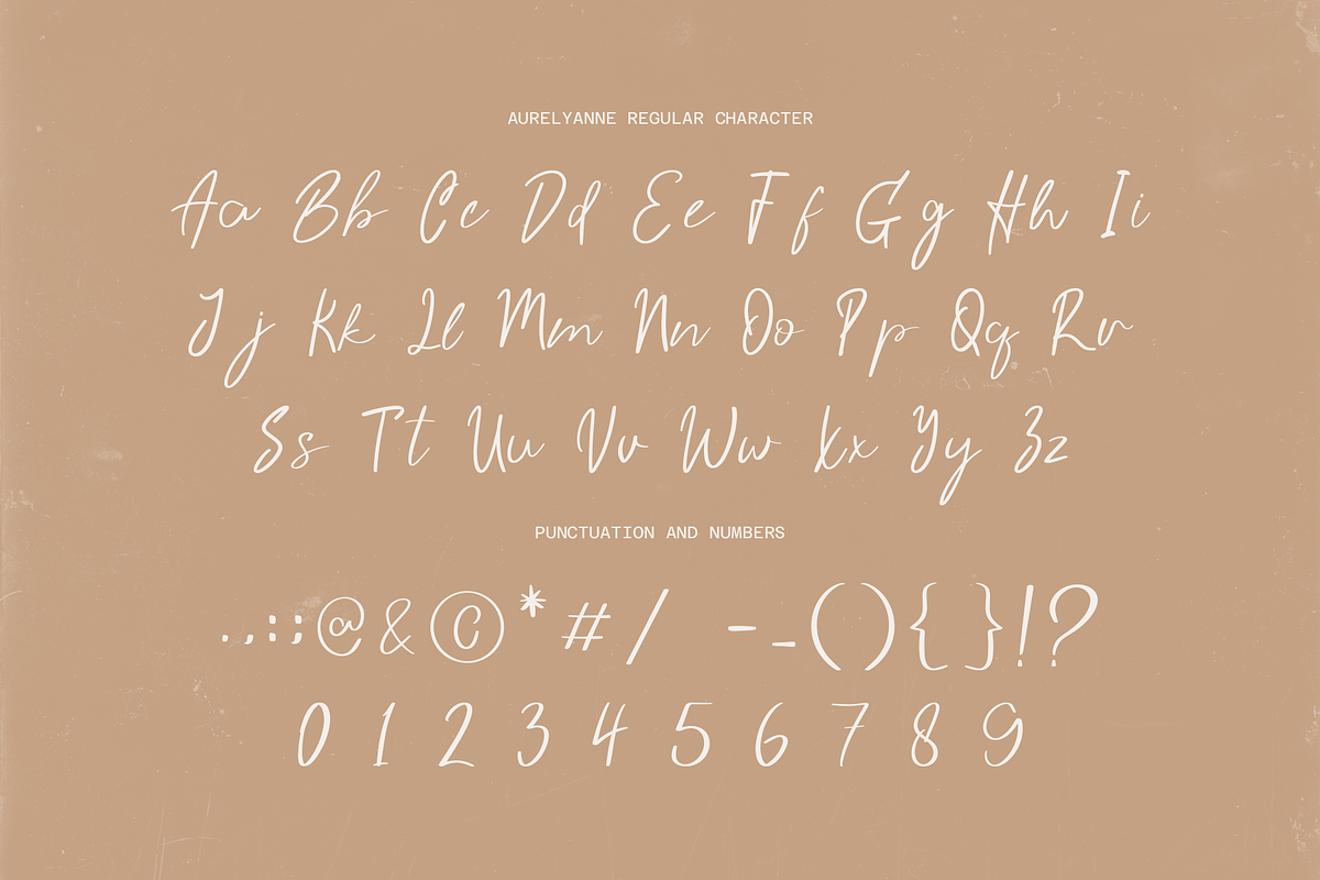 Aurelyanne - Elegant Modern Script, a Script Font by Indotype Foundry (Photo 7 of 10)
