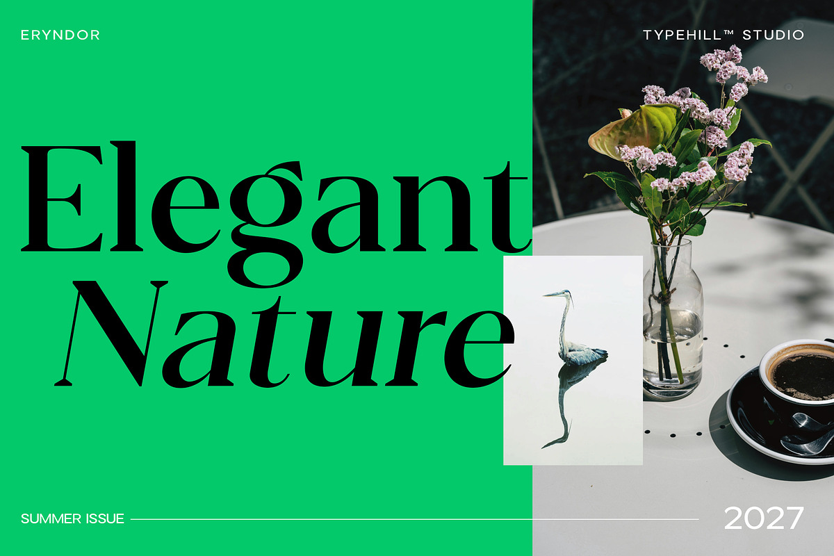Eryndor, a Serif Font by Typehill (Photo 13 of 13)