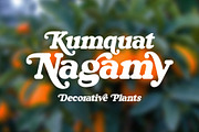 Kingo, a Serif Font by Omotu Studio (Thumbnail 14 of 19)