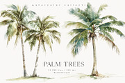 Palm Trees, a Decorative Illustration by PeDe Designs (Thumbnail 1 of 9)